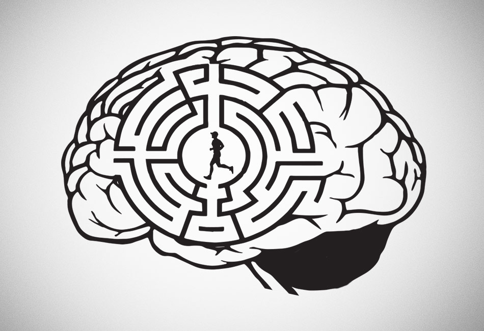 Exercise improves brain
