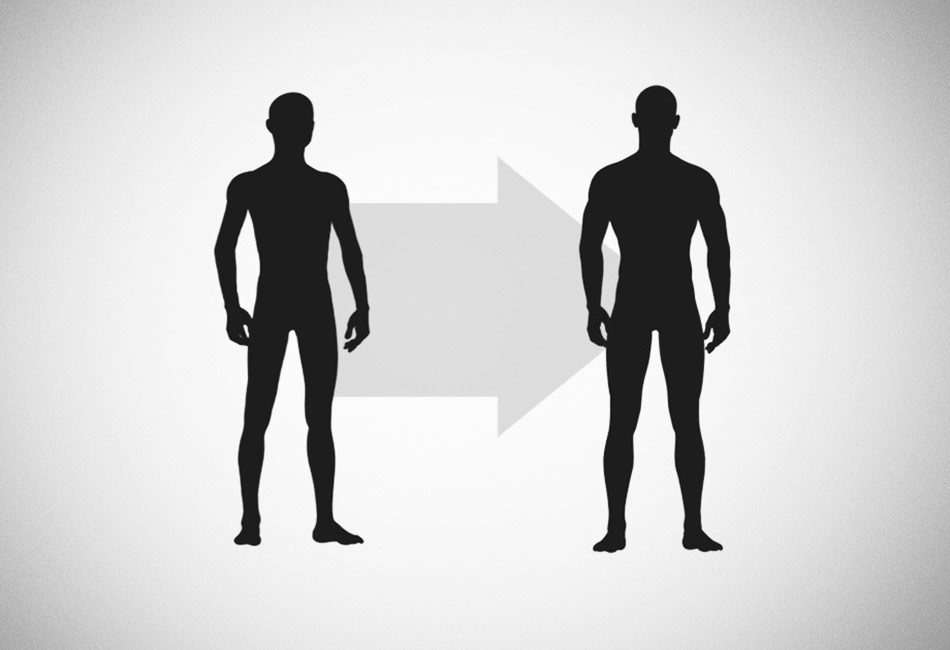 How to build muscle - DAREBEE
