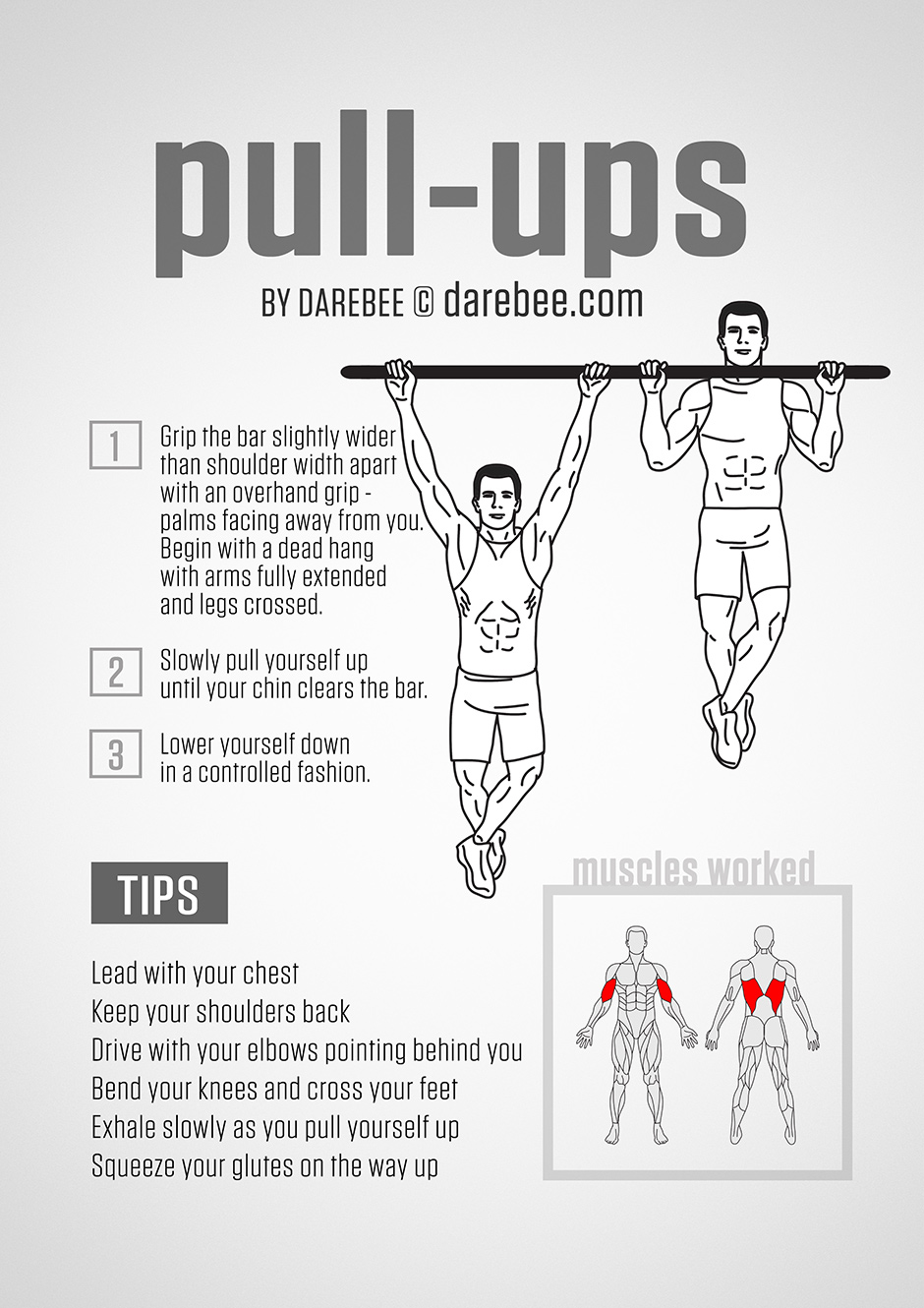 Pull-ups - how to perform them step by step with tips and muscles worked