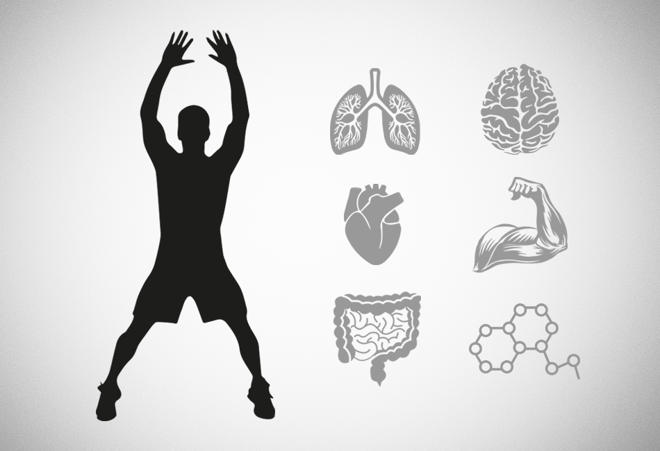 What Happens When We Exercise - DAREBEE