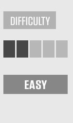 Difficulty: level 2 of 5