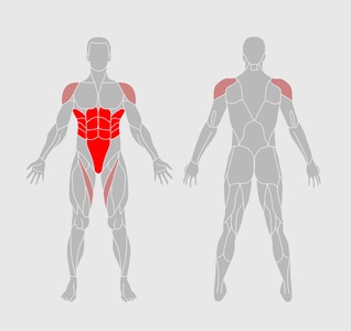 Elbow Strike Sit-Ups - What it Works
