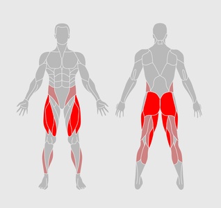 Lunges - What it Works