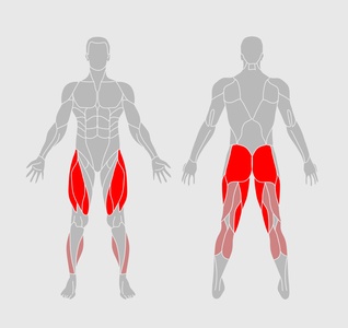 Reverse Lunges - What it Works