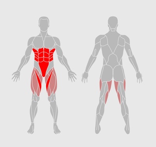 Scissors (Legs) - What it Works