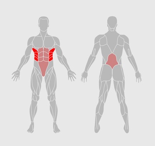 Side Bends - What it Works