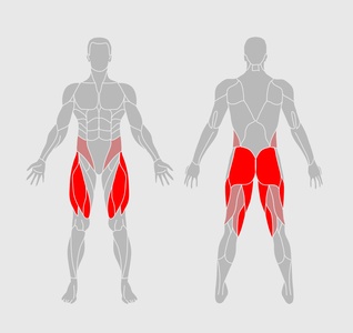 Squats - What it Works
