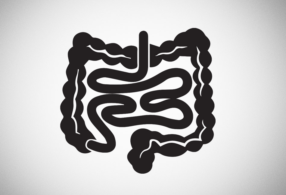 Microbiome 101