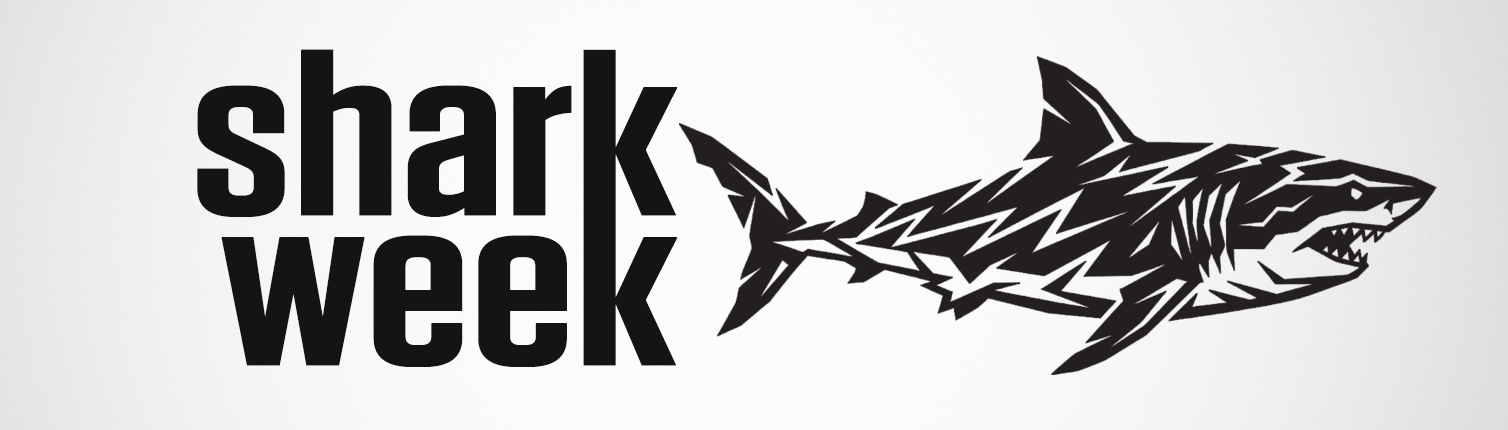 Shark Week Training Plan - training plan weekly schedule