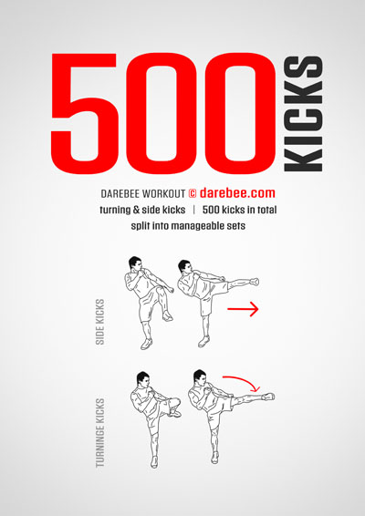 500 side turning kicks workout intro