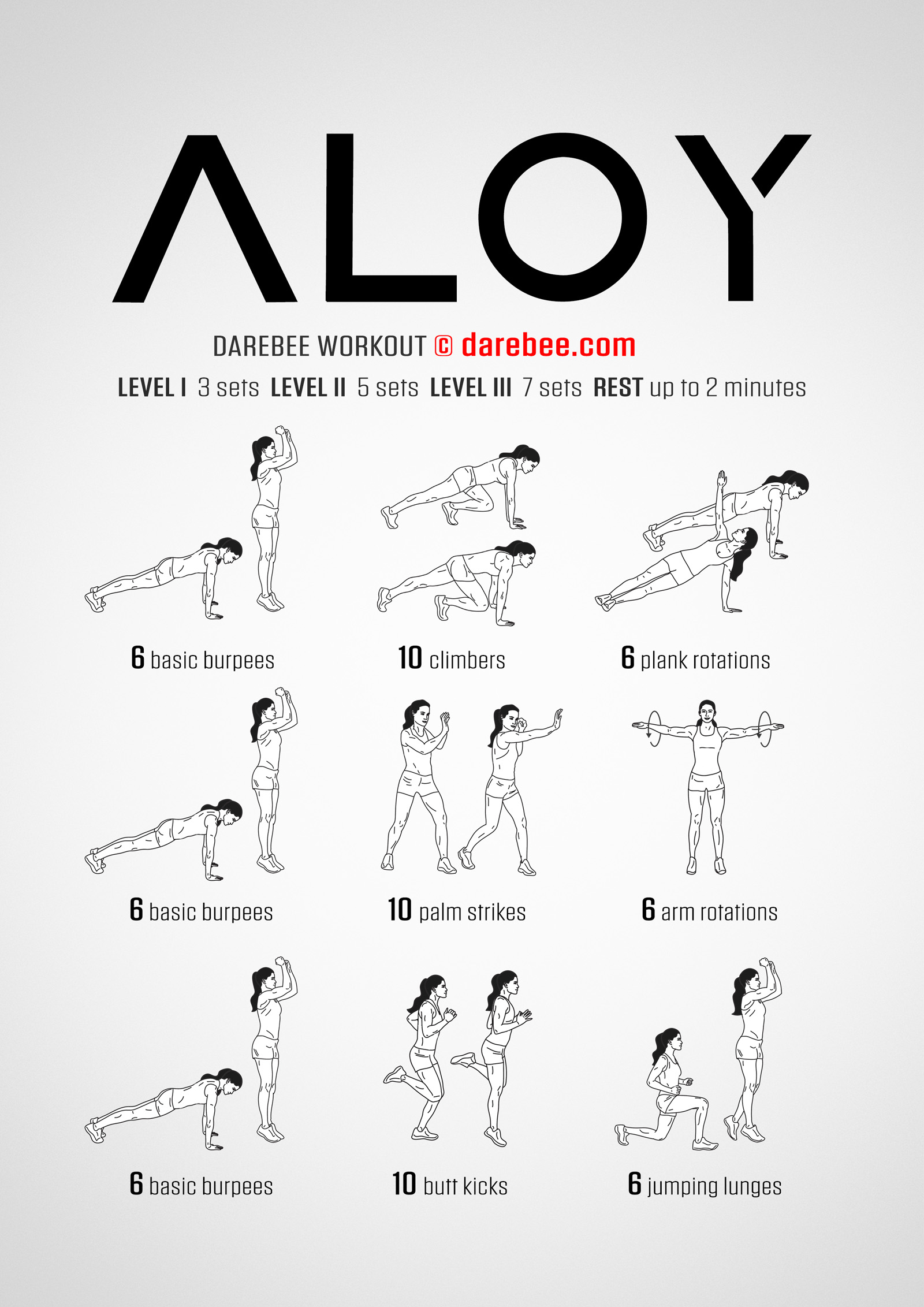 Aloy Workout - complete workout card with exercises and reps