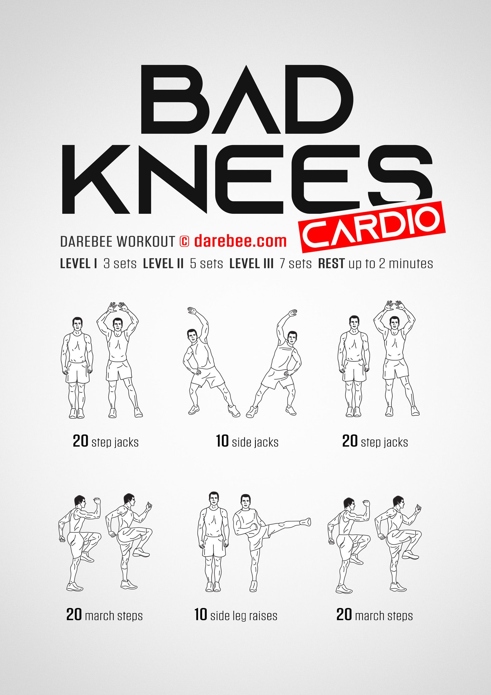 Bad Knees Cardio Workout - complete workout card with exercises and reps
