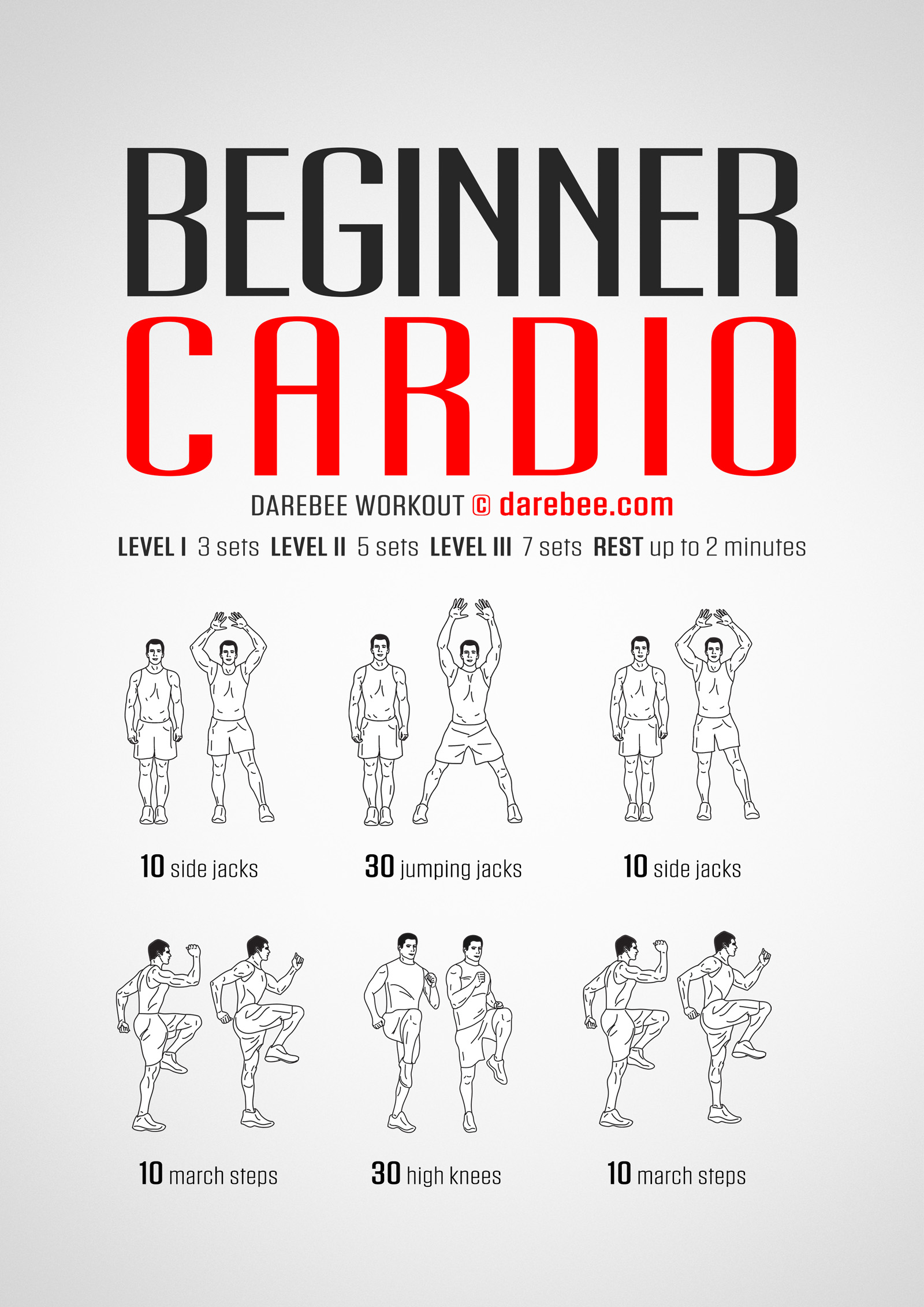 Beginner Cardio Workout - complete workout card with exercises and reps
