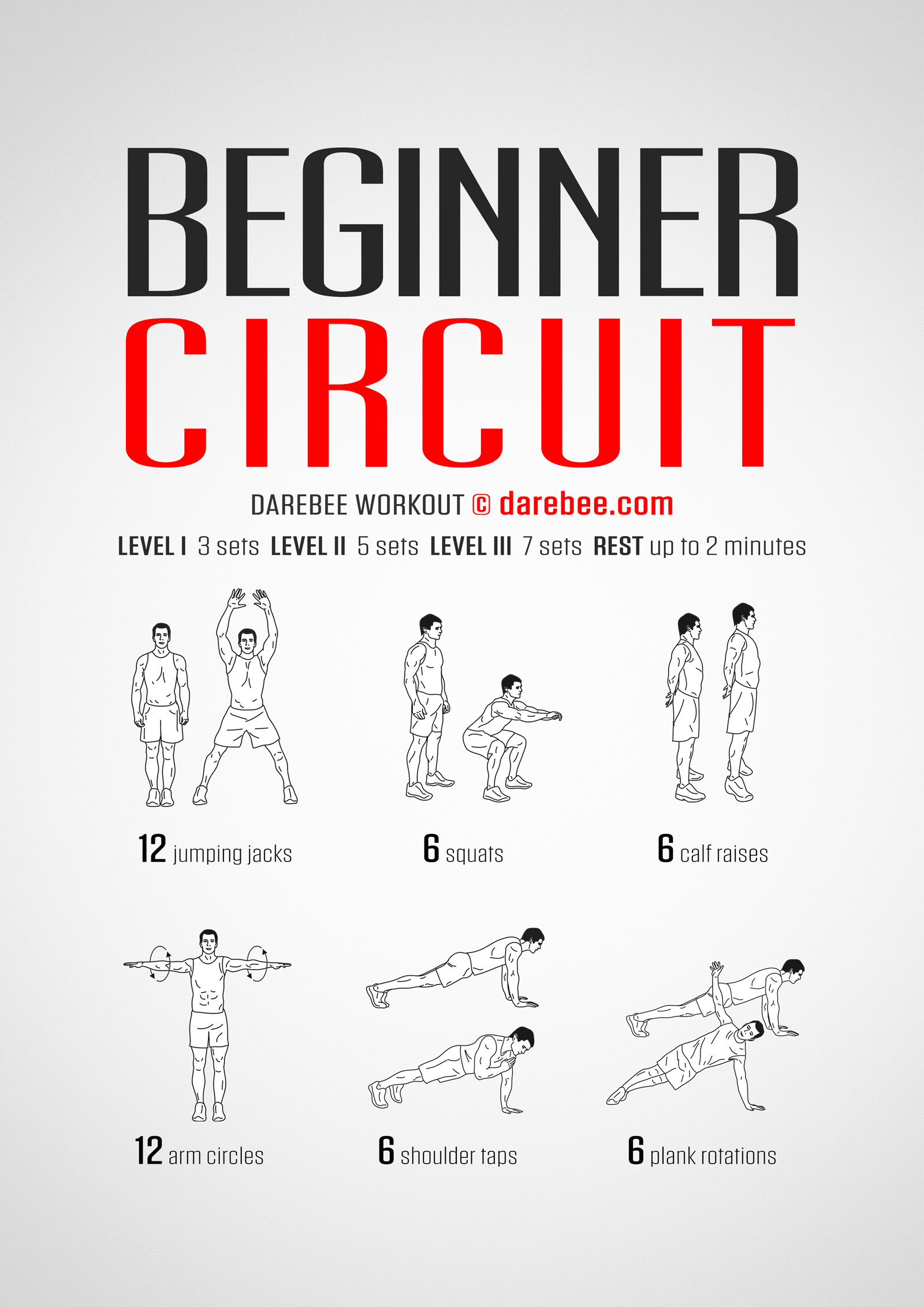 Beginner Circuit Workout - complete workout card with exercises and reps