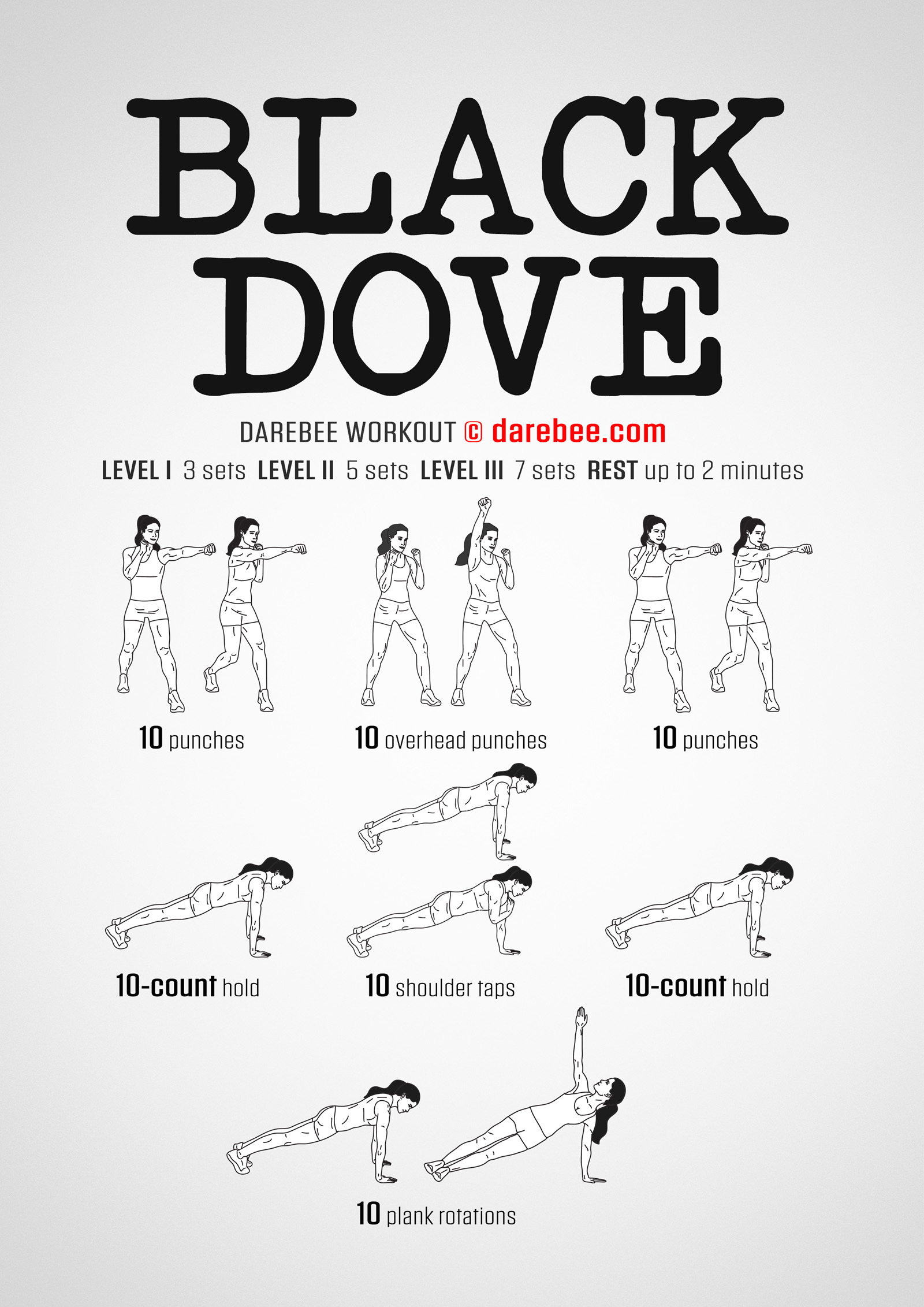 Black Dove Workout - complete workout card with exercises and reps
