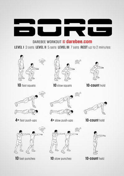 Borg workout intro