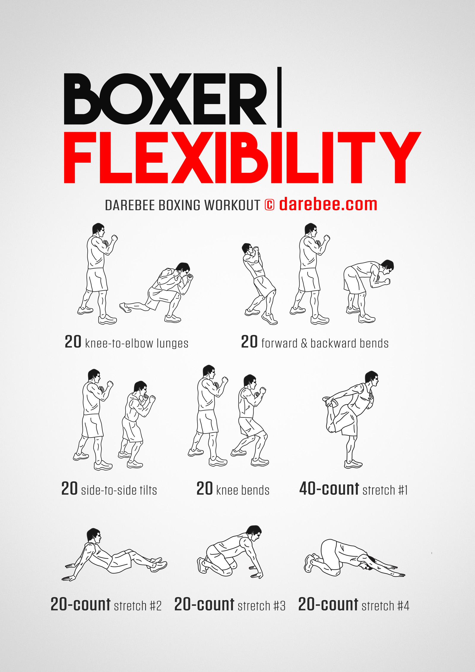 Boxer Flexibility Workout - complete workout card with exercises and reps
