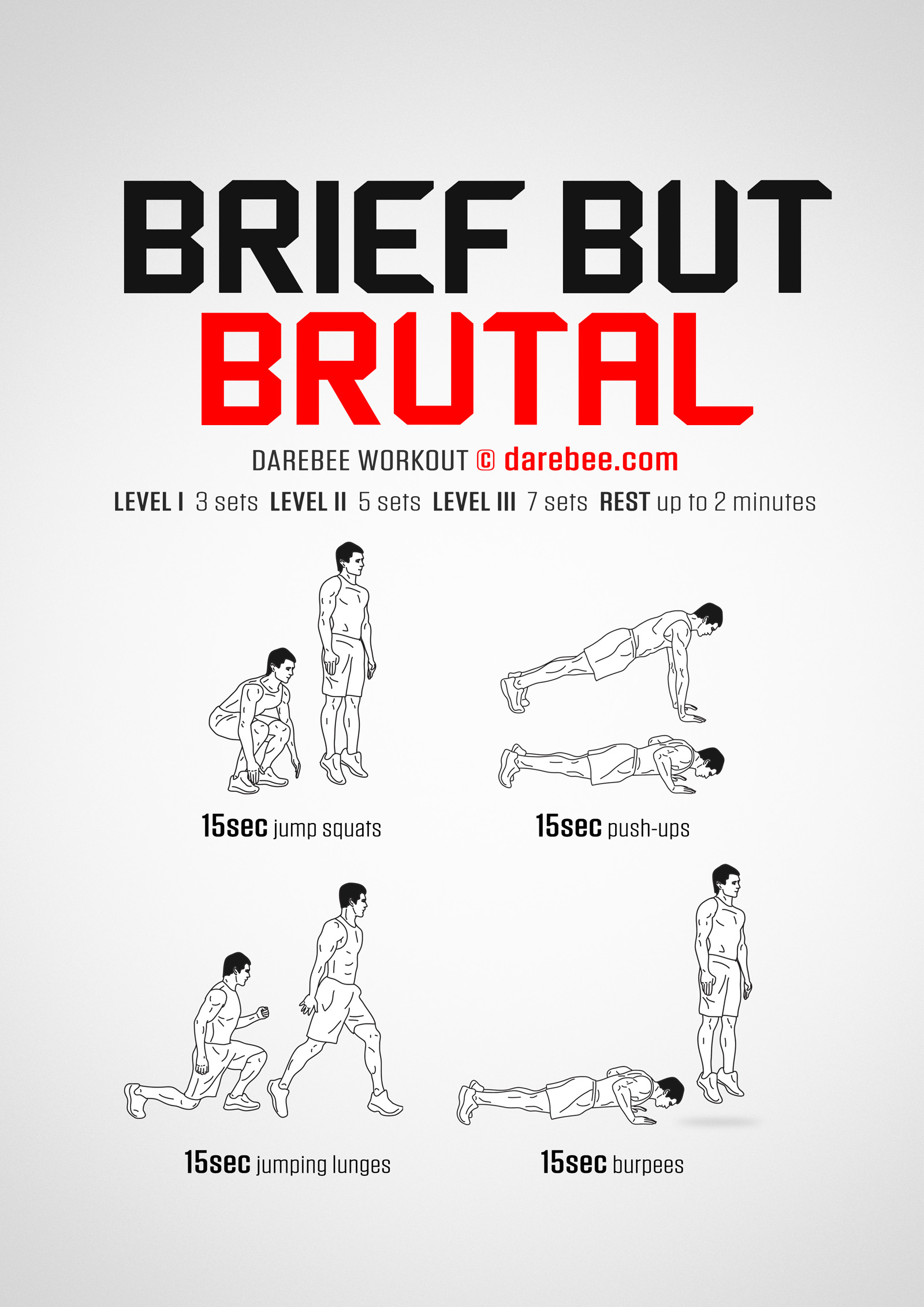 Brief But Brutal Workout - complete workout card with exercises and reps