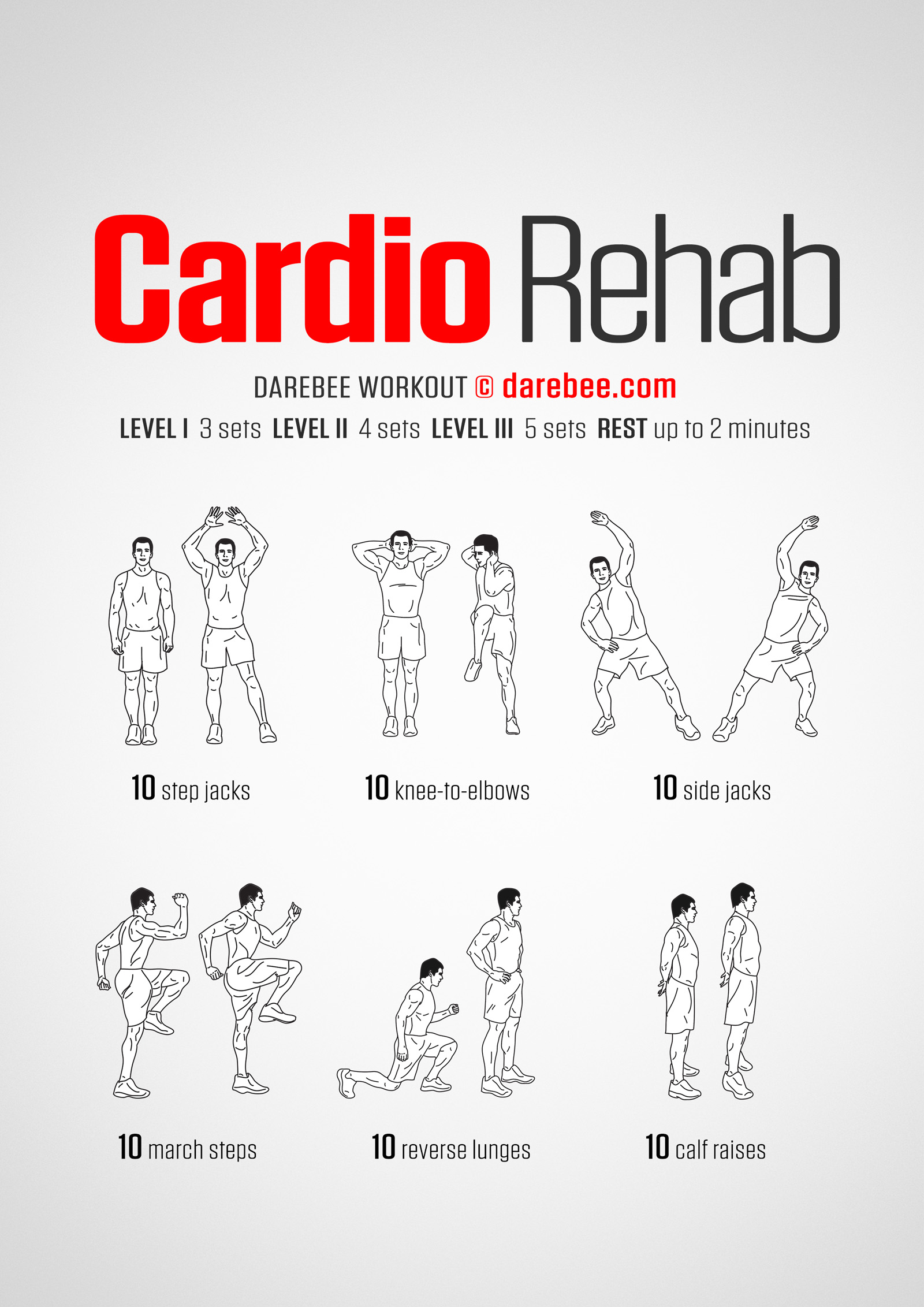 Cardio Rehab Workout - complete workout card with exercises and reps