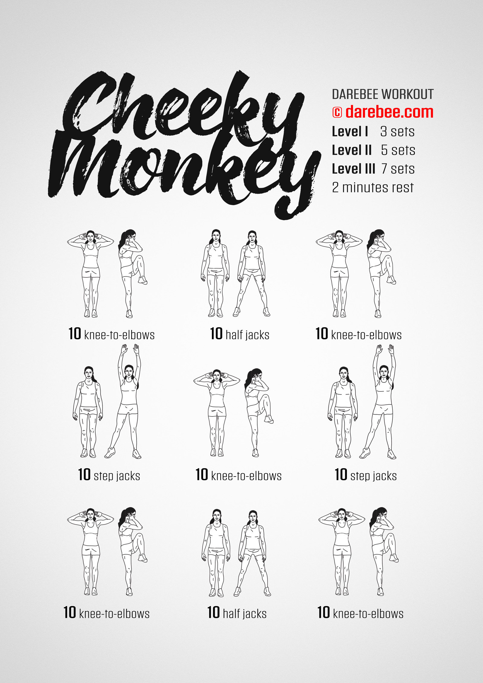 Cheeky Monkey Workout - complete workout card with exercises and reps