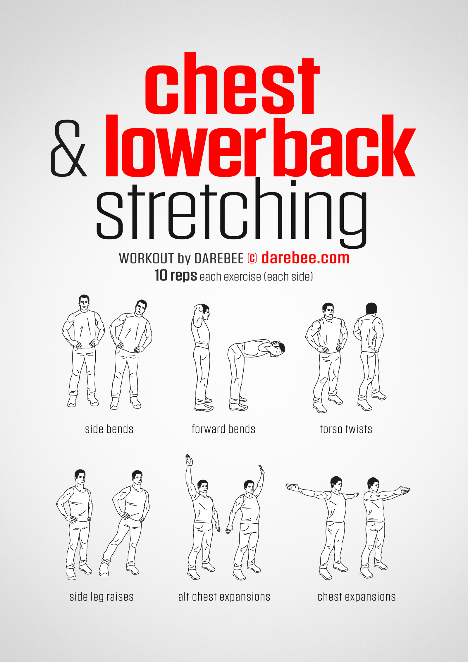 Chest & Lower Back Workout - complete workout card with exercises and reps