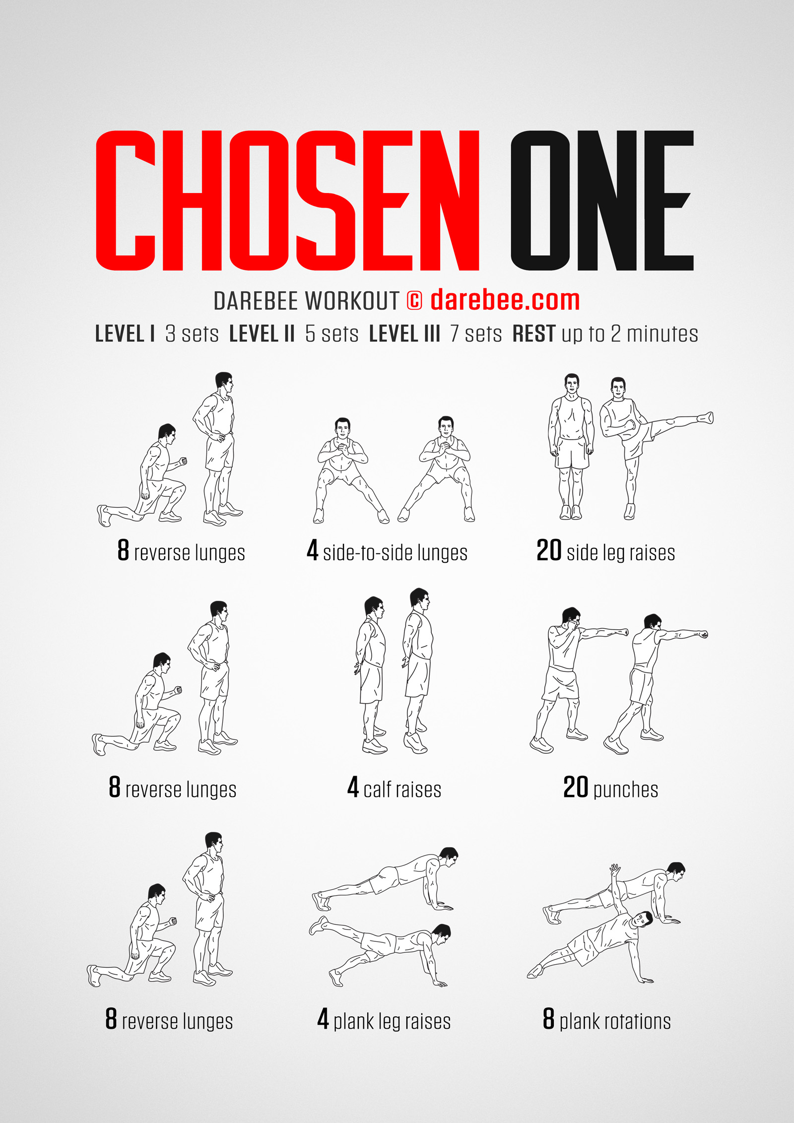 Chosen One Workout - complete workout card with exercises and reps