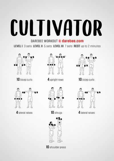 Strength for Overweight People Workouts Collection