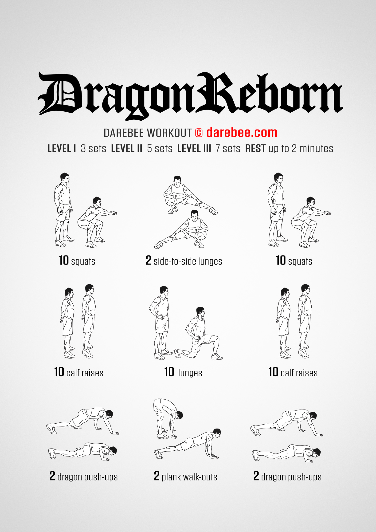 Dragon Reborn Workout - complete workout card with exercises and reps