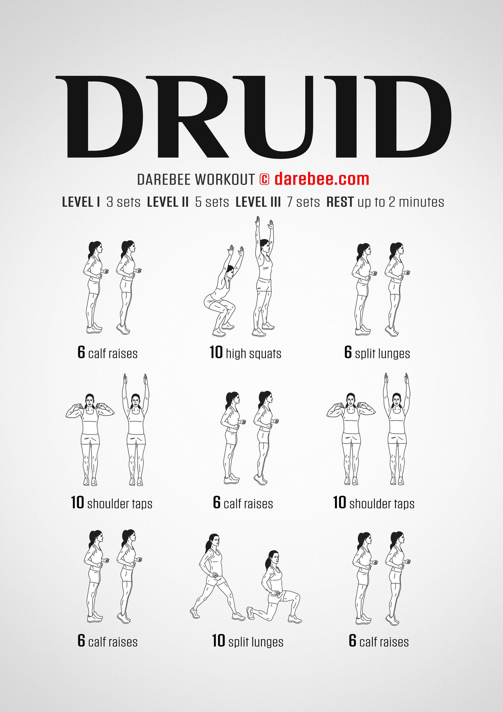 Druid Workout - complete workout card with exercises and reps