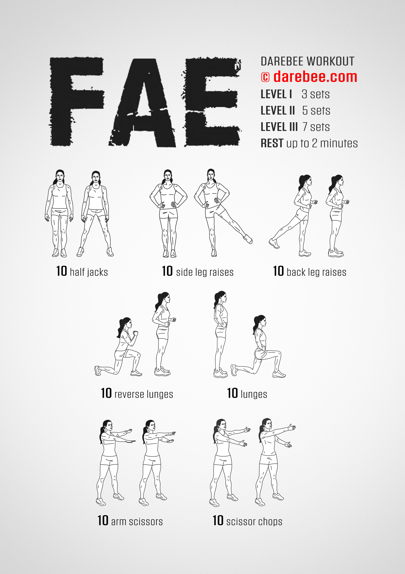 Fae Workout - complete workout card with exercises and reps