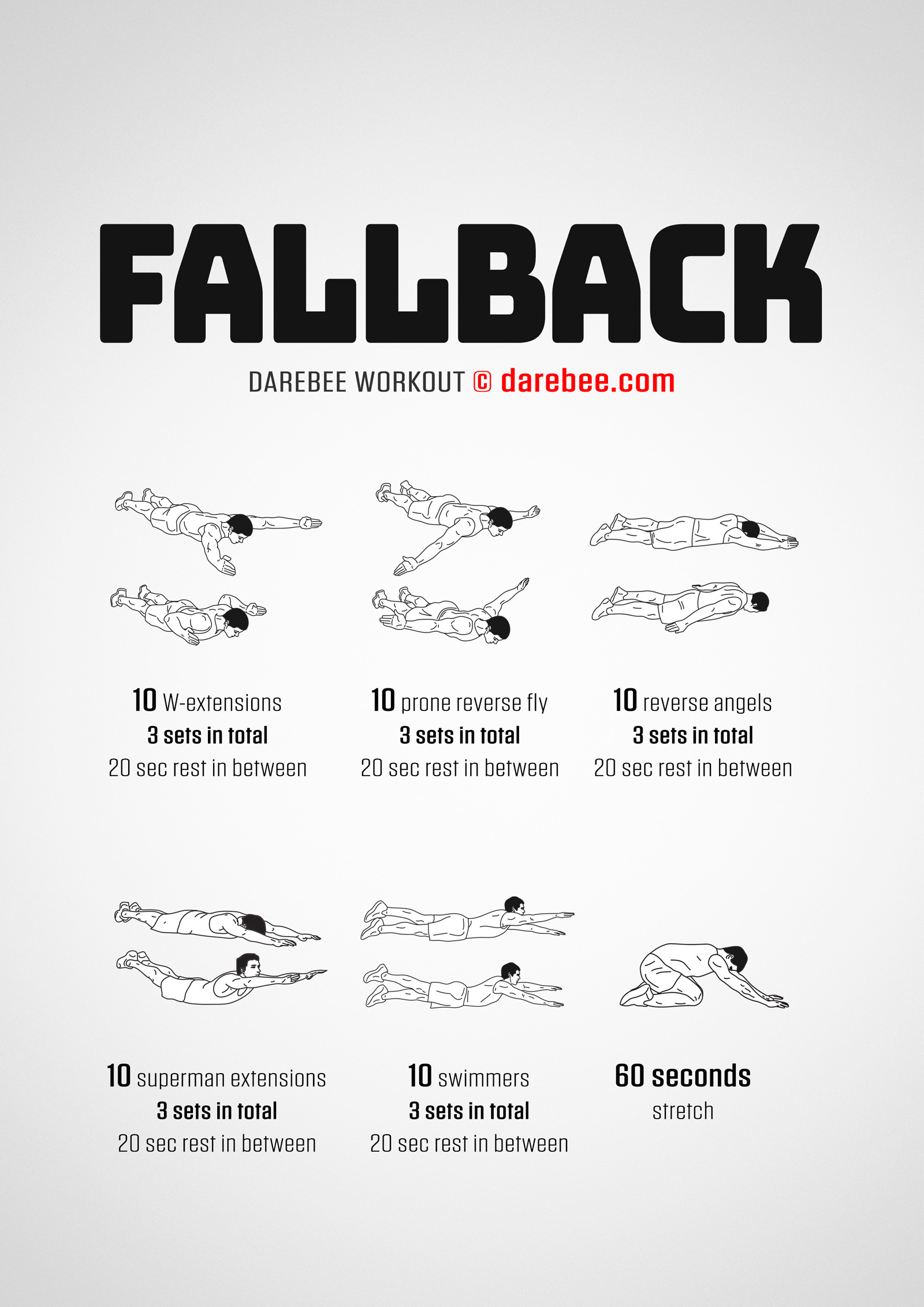Fallback Workout - complete workout card with exercises and reps