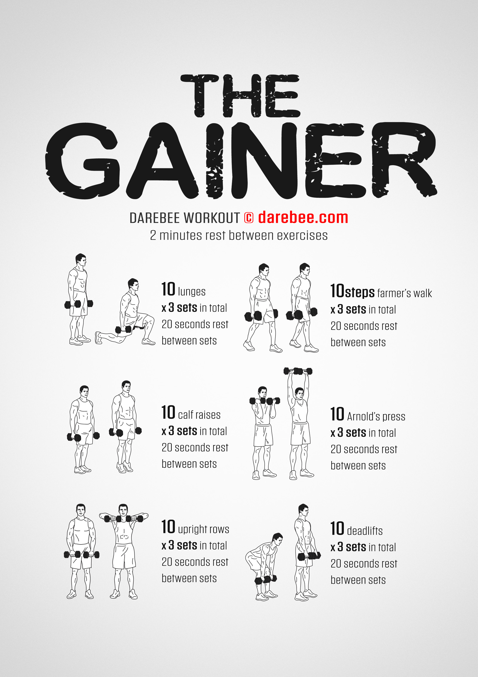 The Gainer Workout - complete workout card with exercises and reps