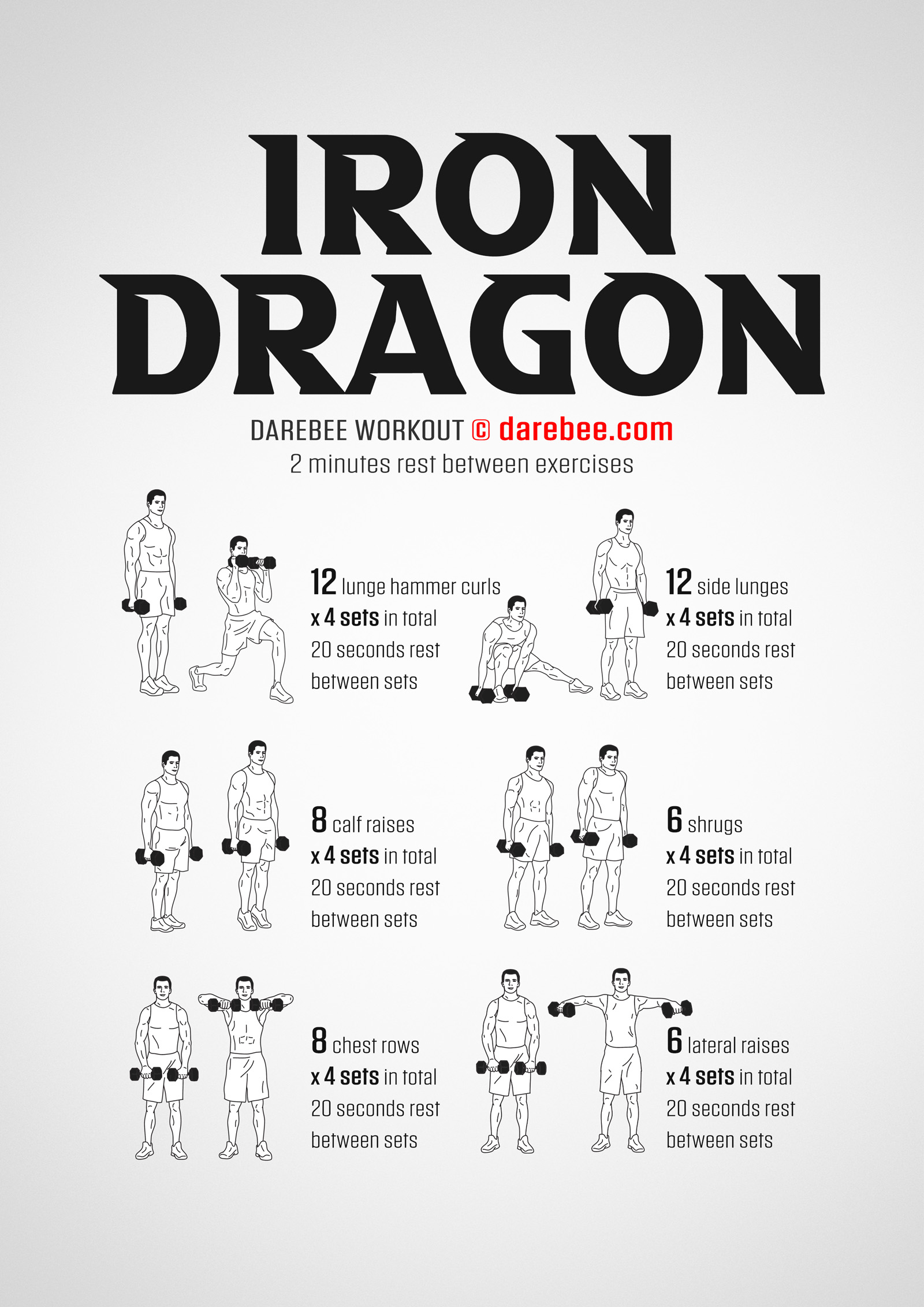 Iron Dragon Workout - complete workout card with exercises and reps