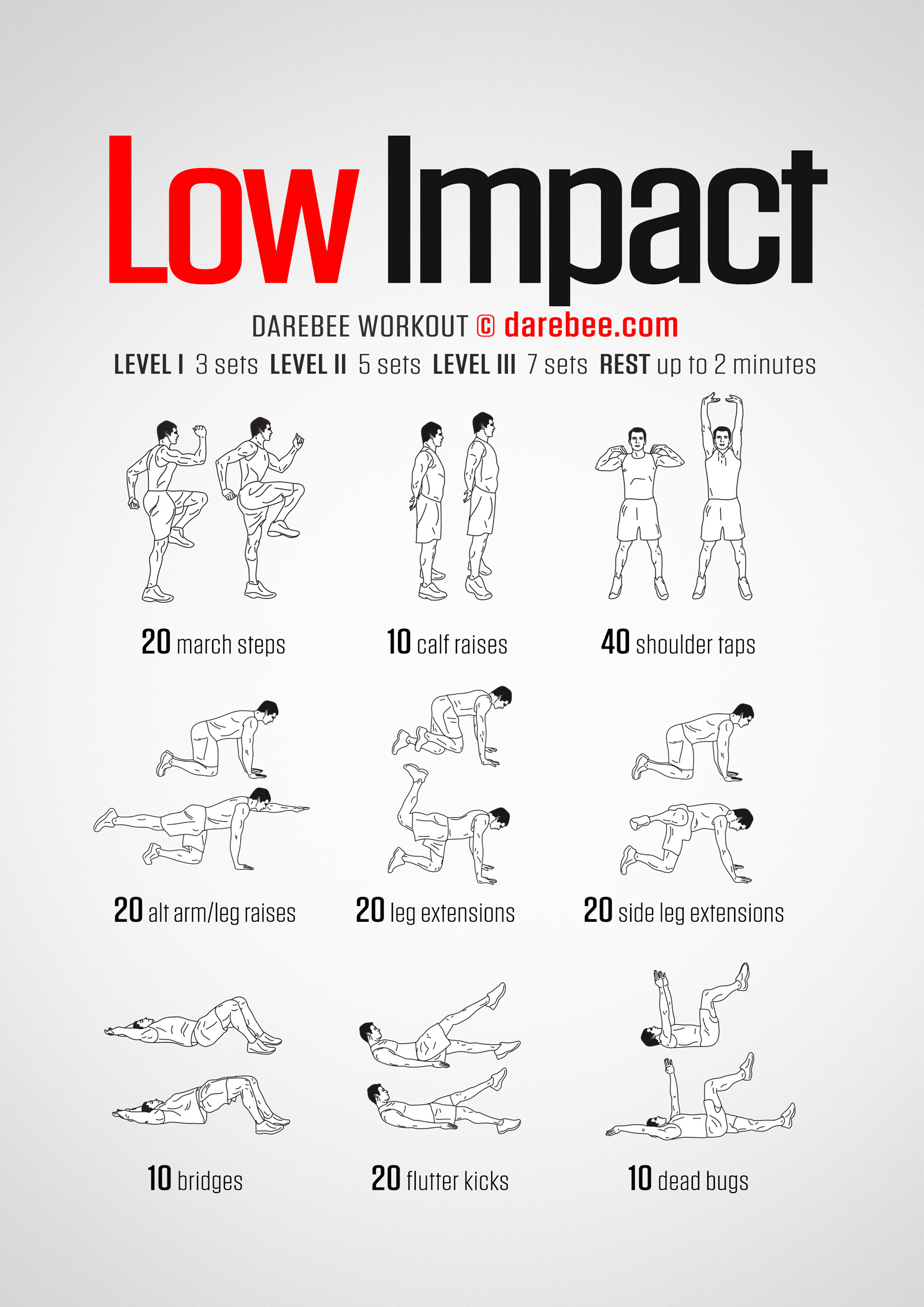 Low Impact Workout - complete workout card with exercises and reps
