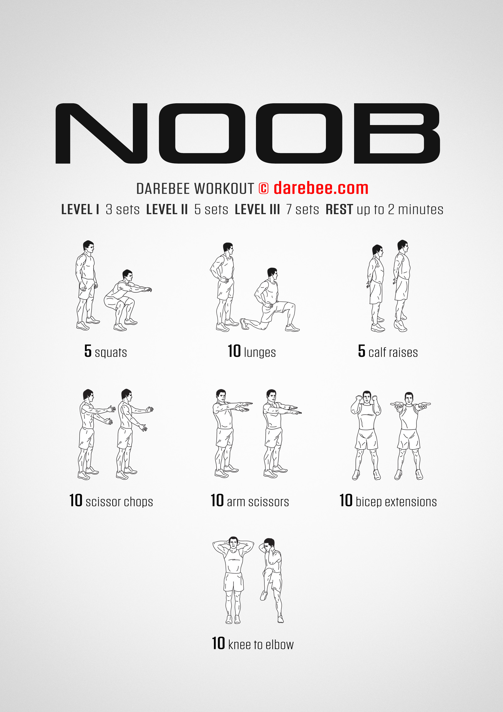 Noob Workout - complete workout card with exercises and reps