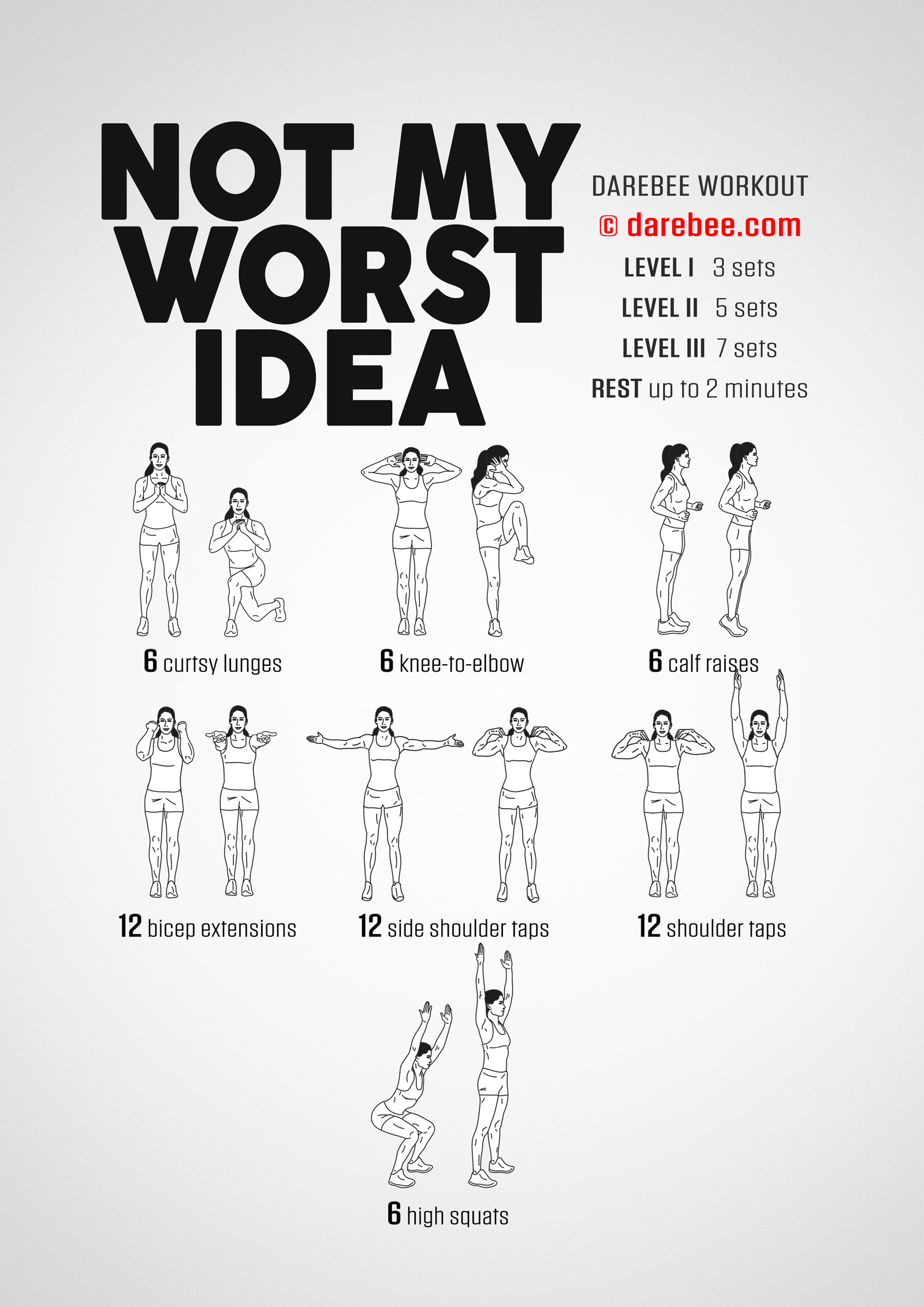 Not My Worst Idea Workout - complete workout card with exercises and reps