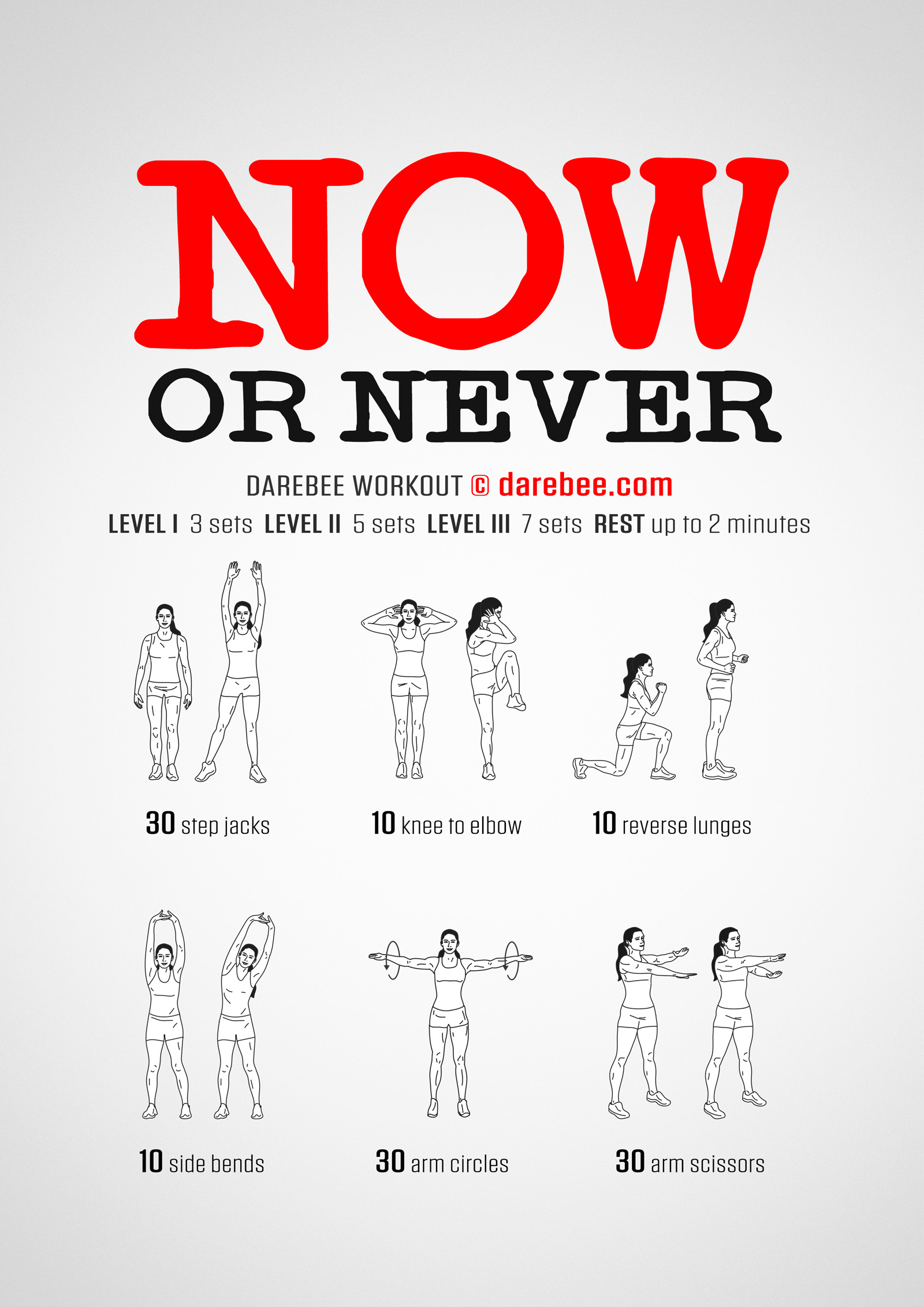 Now OR Never Workout - complete workout card with exercises and reps