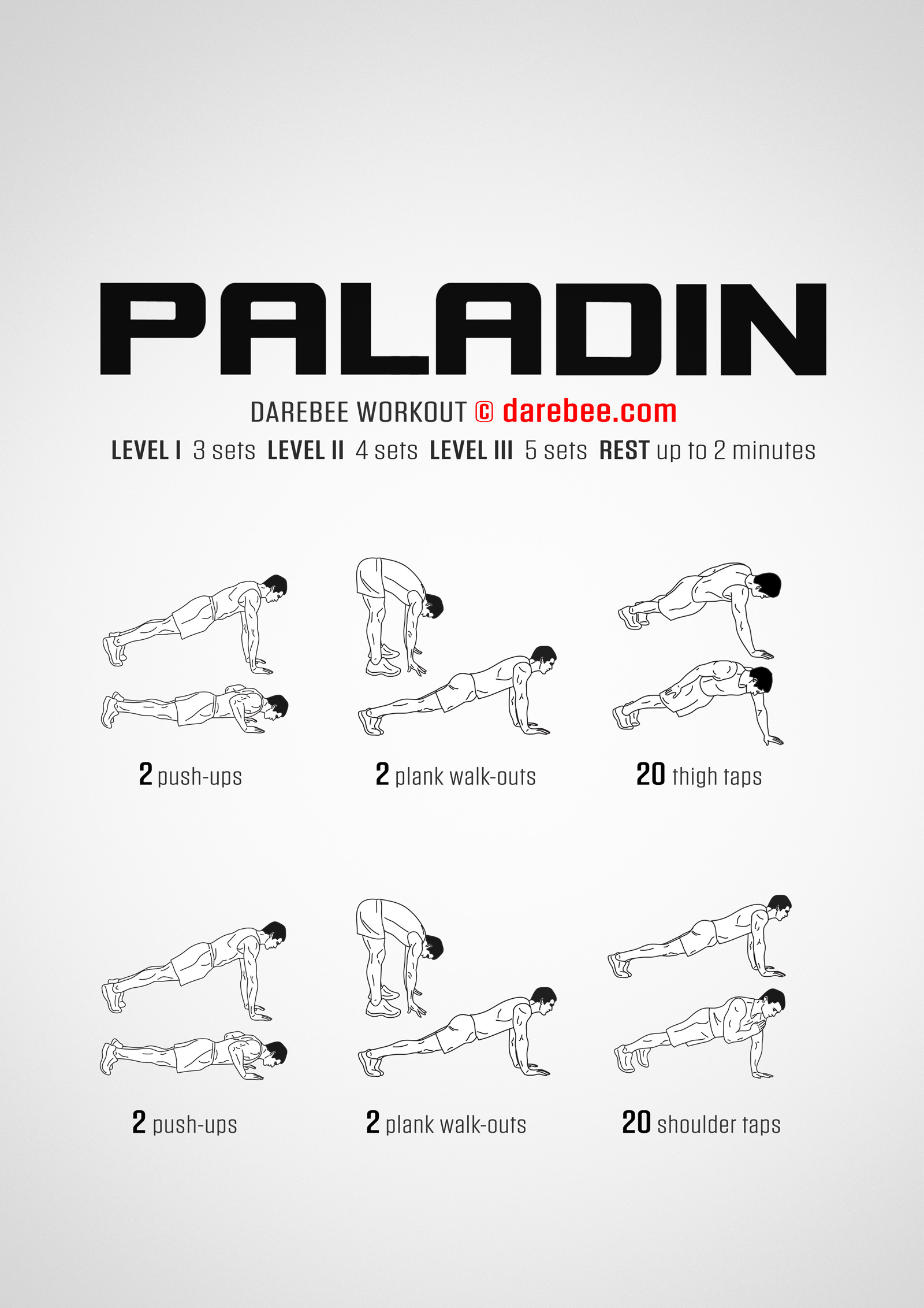 Paladin Workout - complete workout card with exercises and reps