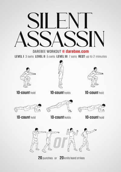 Silent Assassin Workout