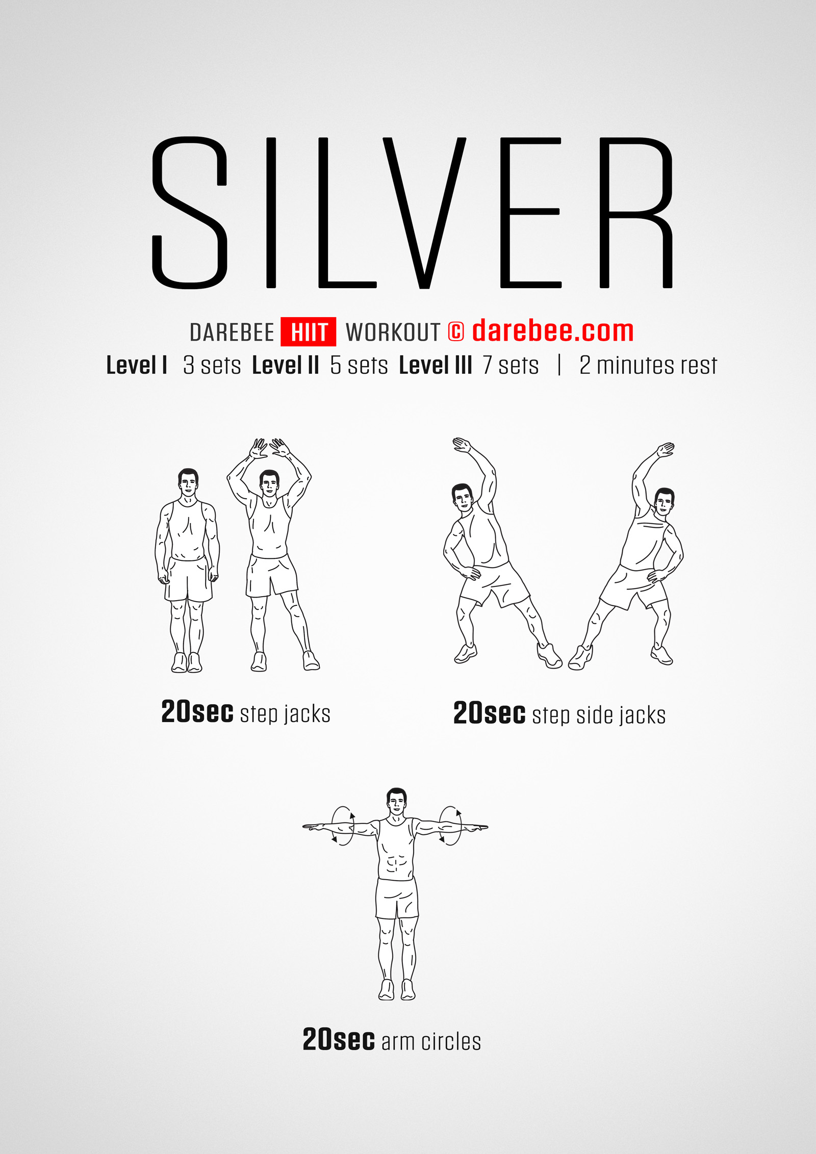 Silver Workout - complete workout card with exercises and reps