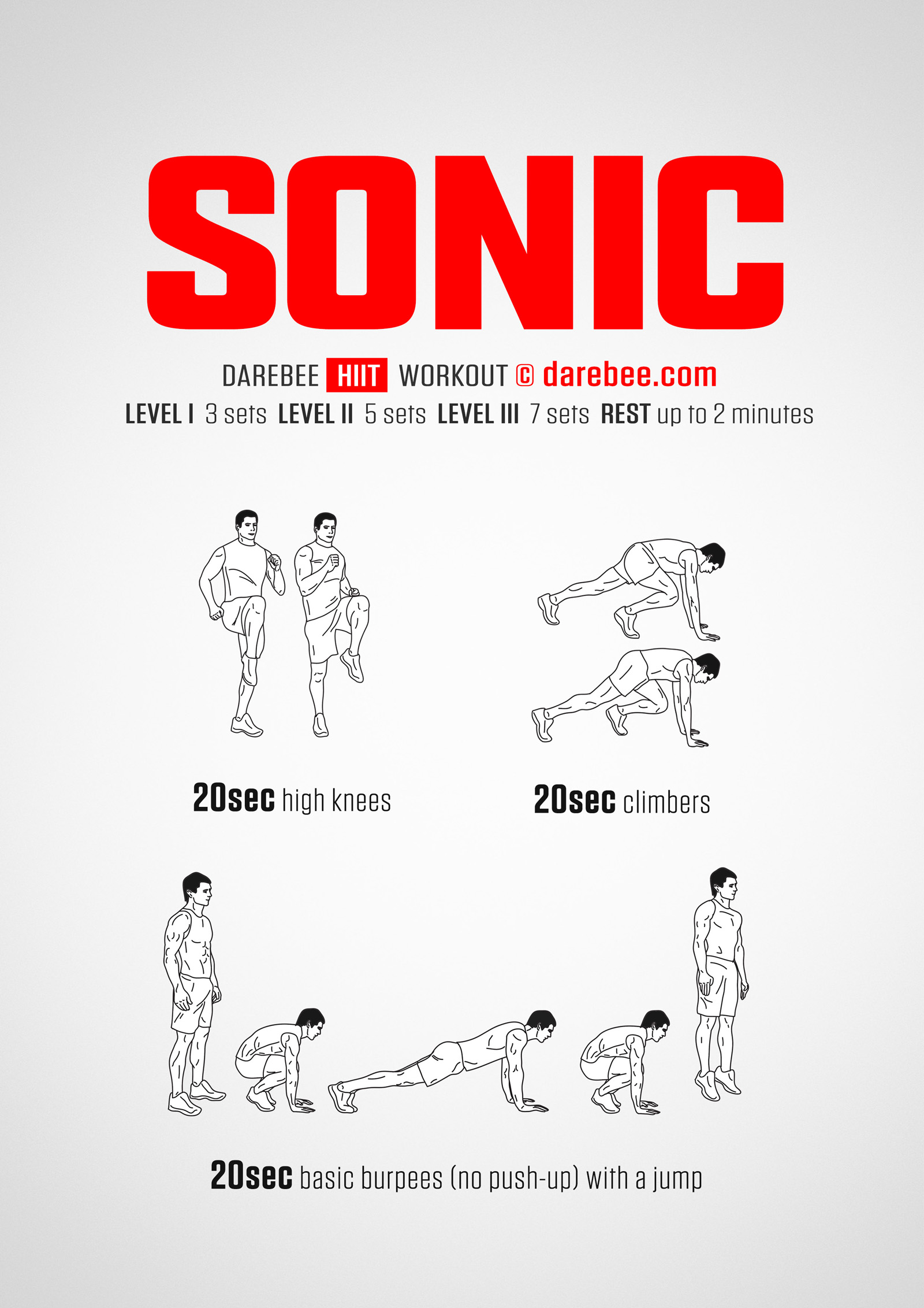 Sonic Workout - complete workout card with exercises and reps