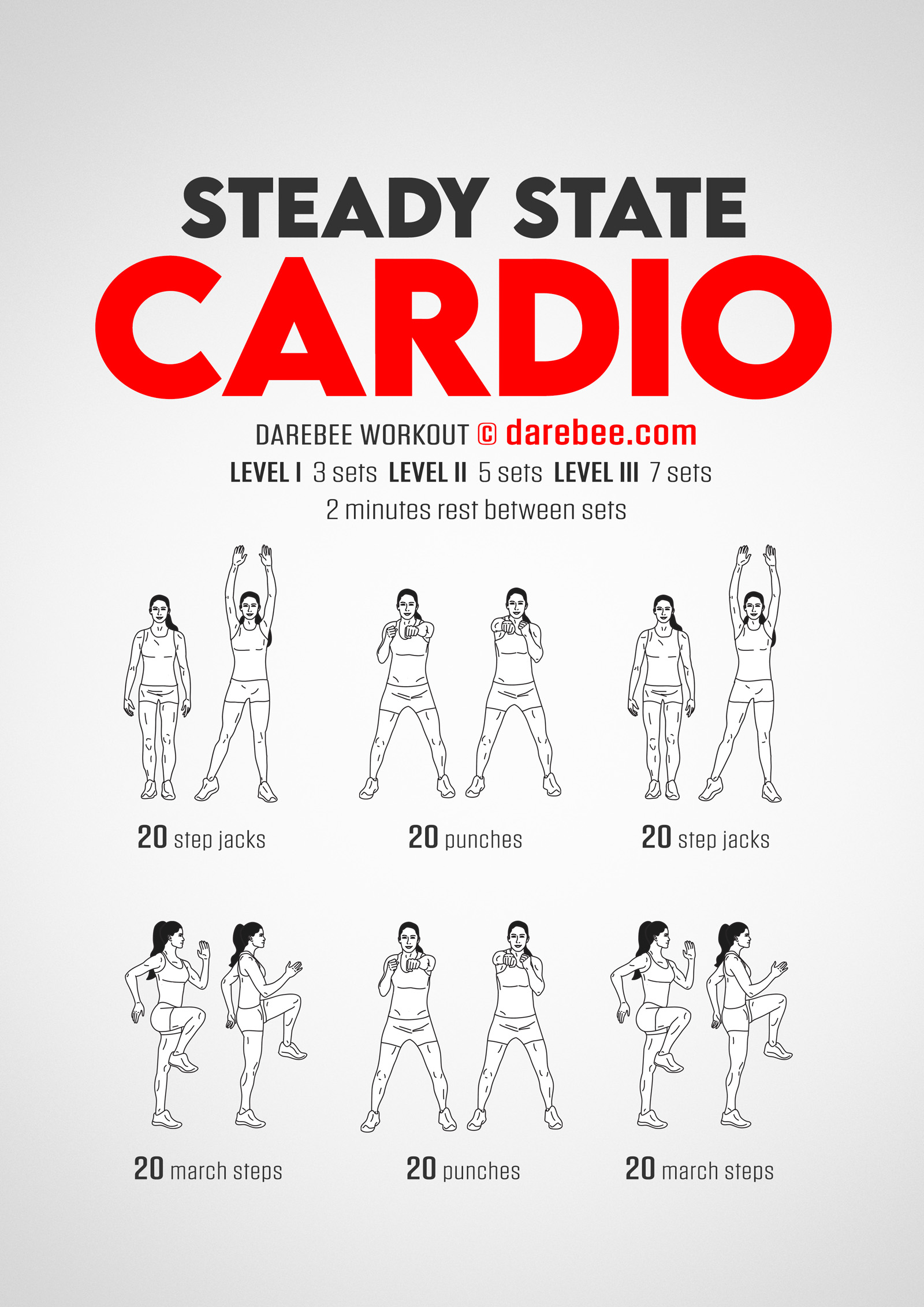 Steady State Cardio Workout - complete workout card with exercises and reps