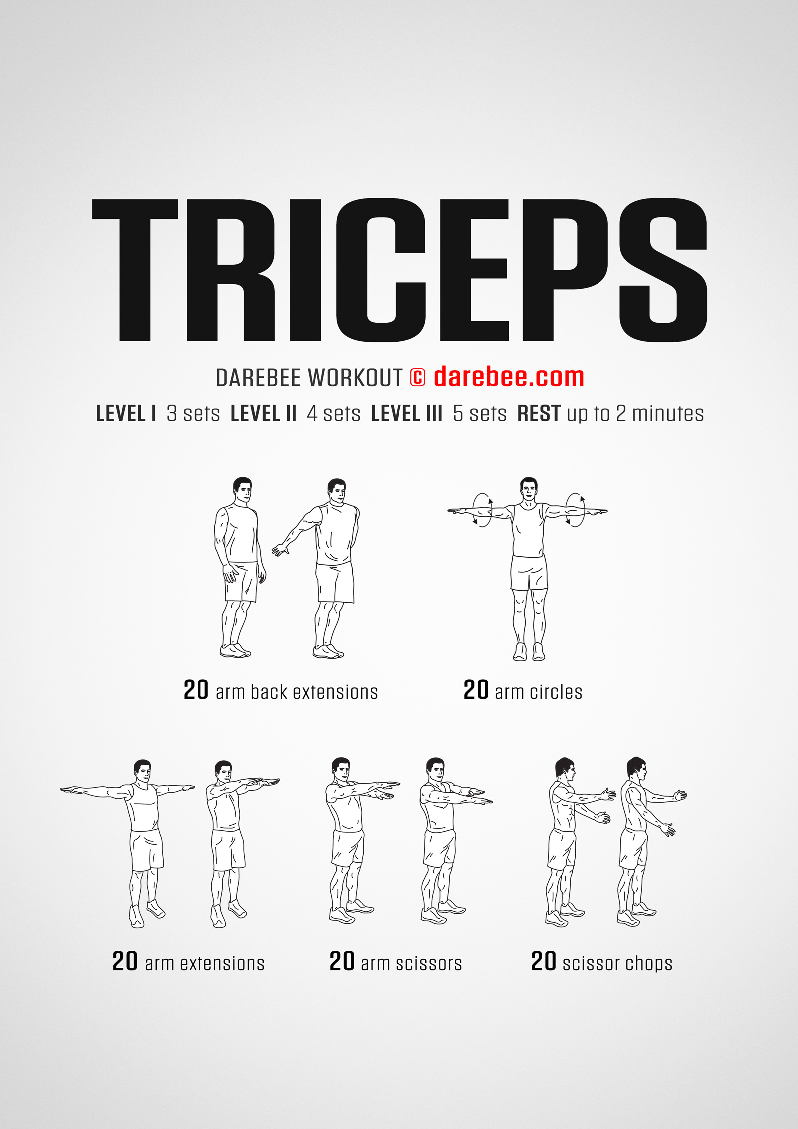 Triceps Workout - complete workout card with exercises and reps