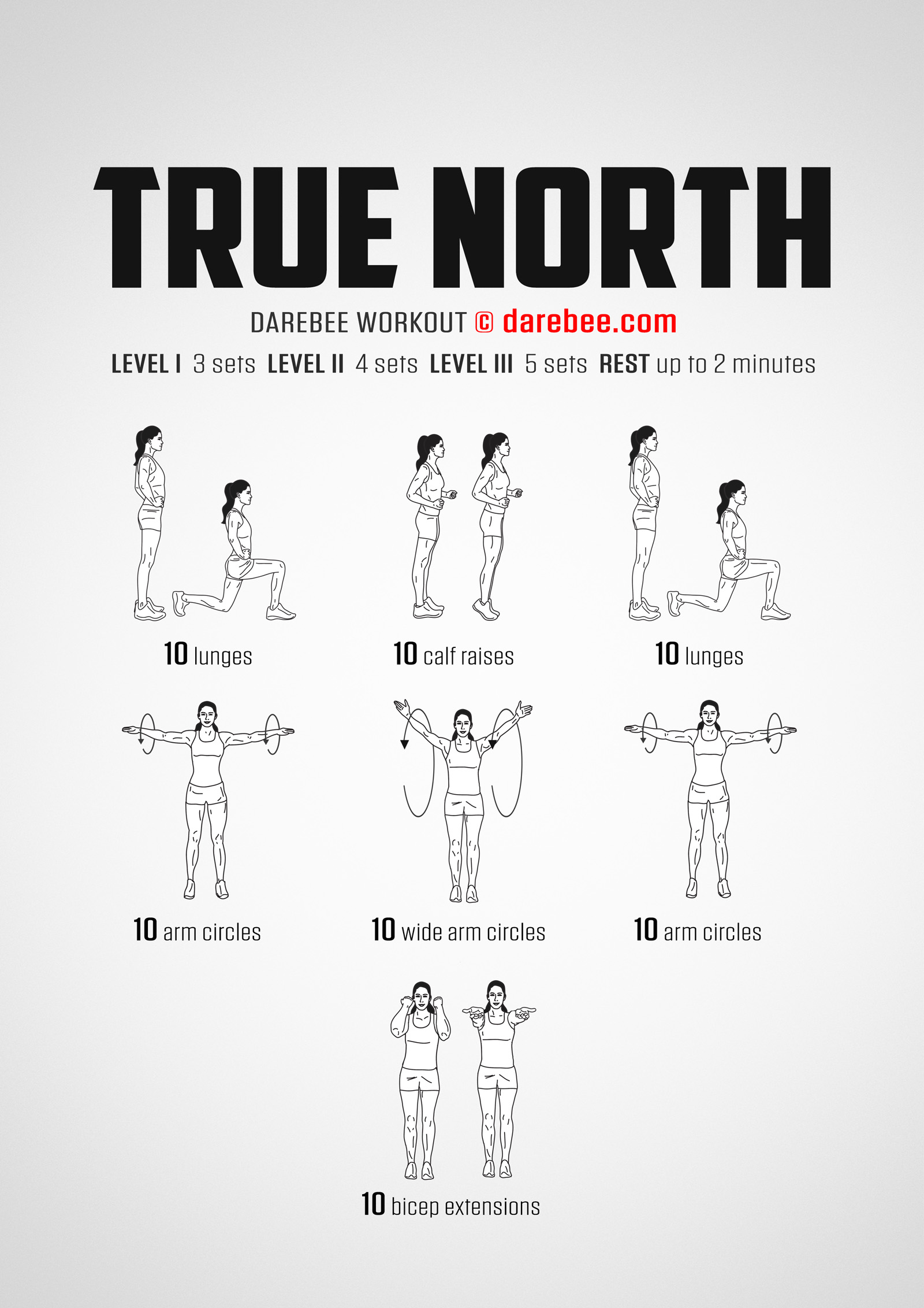 True North Workout - complete workout card with exercises and reps