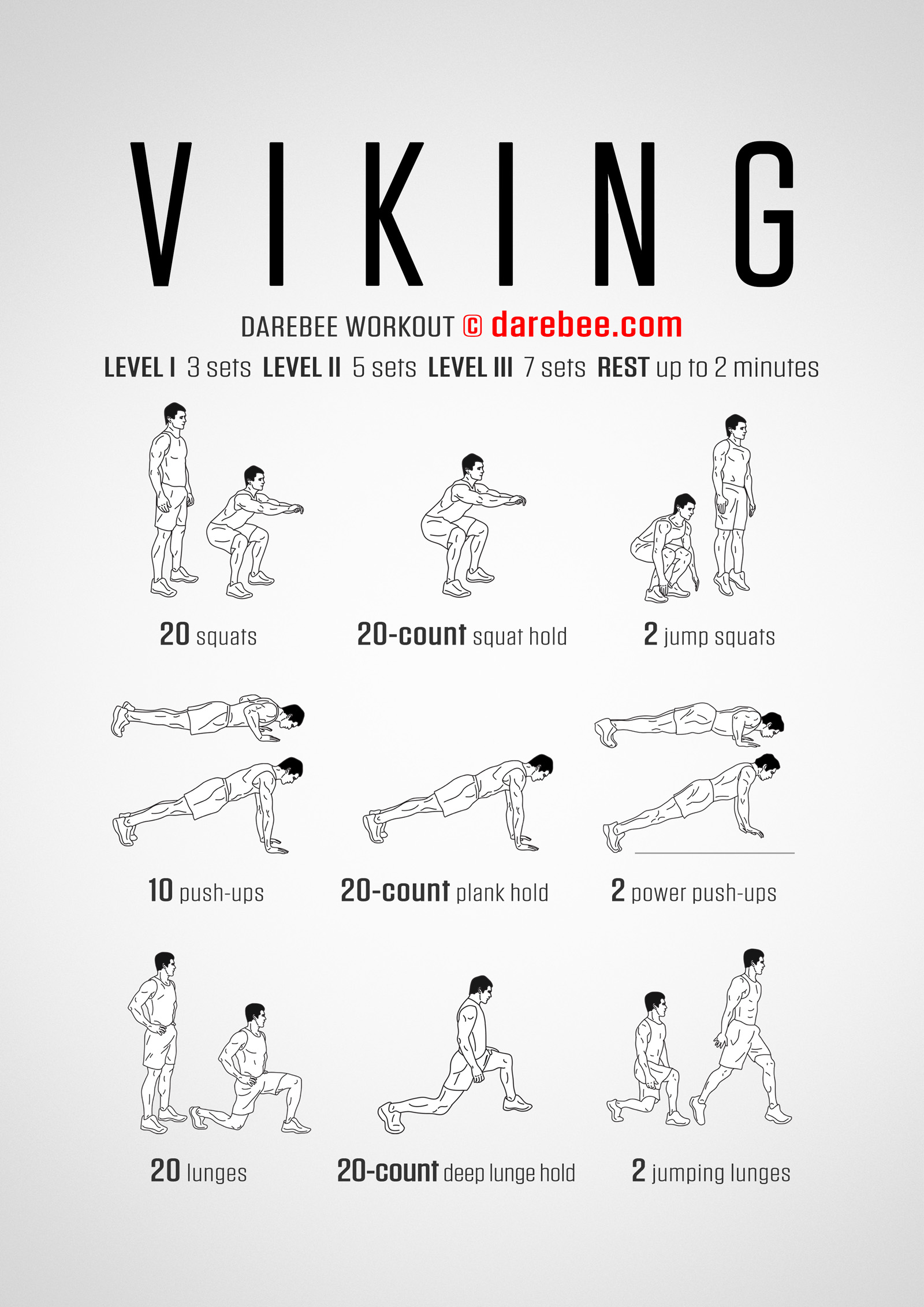 Vikings Workout - complete workout card with exercises and reps