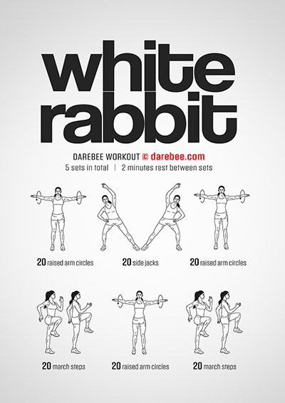 Easy Cardio Workouts Collection