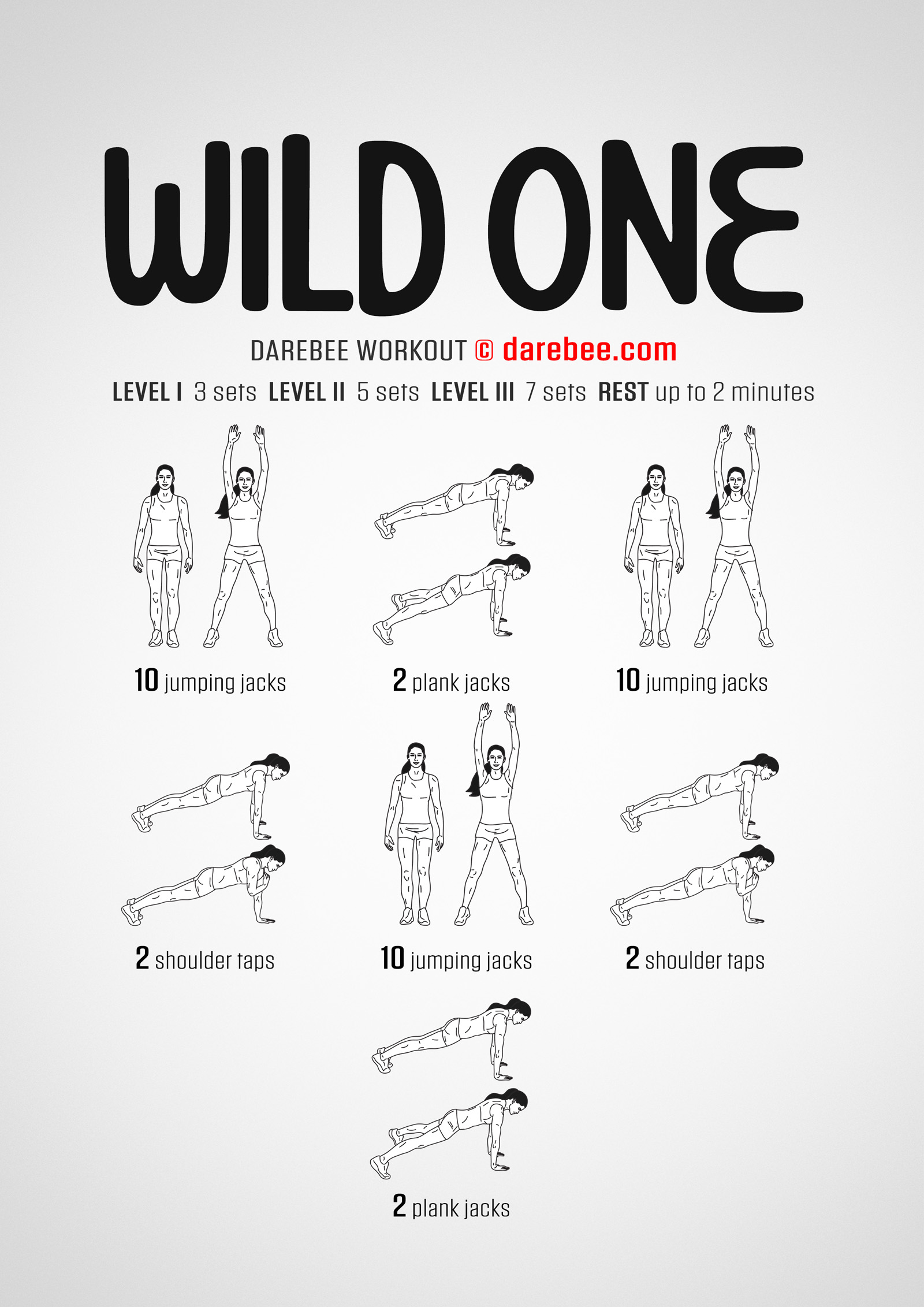 Wild One Workout - complete workout card with exercises and reps