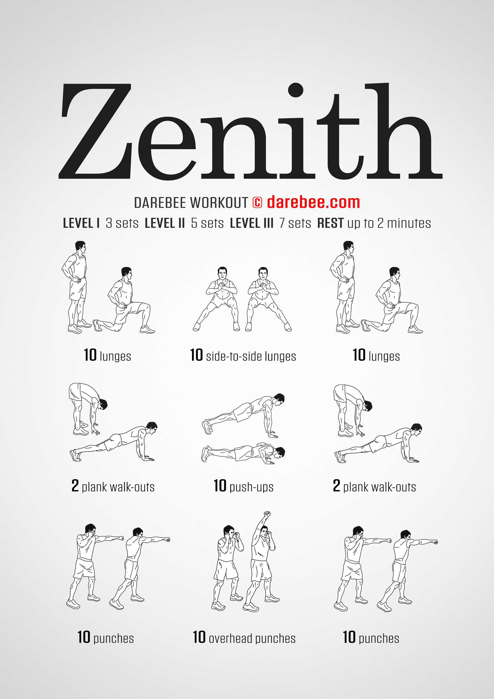 Zenith Workout - complete workout card with exercises and reps