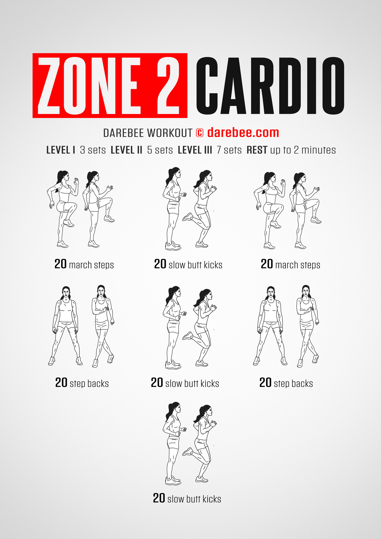Zone 2 Cardio Workout - complete workout card with exercises and reps